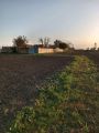 ZEMUN Klin Nova ID: 6907