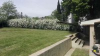 Nekretnina: Kuća, 402.00/792.00m2, NOVI SAD, PETROVARADIN