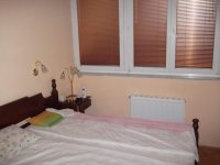 Nekretnina: Kuća, 186.00/400.00m2, NOVI SAD, KAMENJAR
