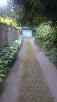 Nekretnina: Kuća, 108.00/406.00m2, NOVI SAD, JODNA BANJA