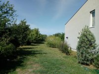 Nekretnina: Kuća, 155.00/916.00m2, NOVI SAD, PETROVARADIN