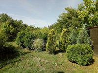 Nekretnina: Kuća, 155.00/916.00m2, NOVI SAD, PETROVARADIN