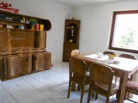 Nekretnina: Kuća, 360.00/500.00m2, NOVI SAD, PETROVARADIN