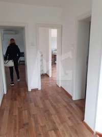 Nekretnina: Čenej, Novi Sad, 325 m2 ID#10675