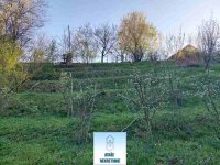 Nekretnina: Čortanovci, Fruškogorska, 98m2 na 10ari, vikend kuća ID#38656