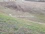 Evropski bulevar-Građevinska parcela 8984 m2 u Industrijskoj zoni-065/385 8880