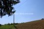 Extra pogled-Fruška gora- Građevinski plac 8196 m2.