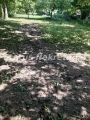 Petrovaradin-fantastičan građevinski plac 1303 m2 na platou kod televizije-065/385 8880