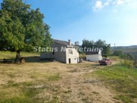 Nekretnina: Beočin-Porodična kuća 50 m2 na Visinskom Velikom Placu 4237 m2 u zelenoj Oazi-065/385 8880