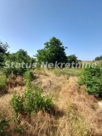 Nekretnina: Beška- Ruševna stara Švabska kuća 155 m2 na Velikom Placu 2165 m2-065/385 8880