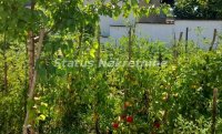 Nekretnina: SREMSKA KAMENICA- KUĆA SA MANJIM BAZENOM