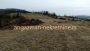 Boljevac, Valakonje – Bukovo 407,53ari ID#20809