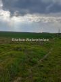 Novi Futog-Dva Građevinska Placa 1467 m2 u mirnom kraju 100 metara od naselja-065/385 8880