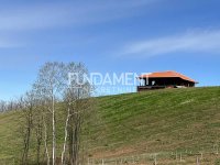 Nekretnina: Misača imanje 5.5 ha - kuća 338 m2, voćnjak ID#1601