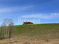 Nekretnina: Misača imanje 5.5 ha - kuća 338 m2, voćnjak ID#1601