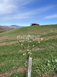 Nekretnina: Misača imanje 5.5 ha - kuća 338 m2, voćnjak ID#1601