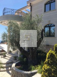 Nekretnina: Prodaja vile Petrovac