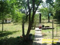 Nekretnina: Beočin, Čerević - Fruškogorska, 37m2