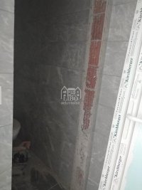 Nekretnina: Lokal P=156m2,novogradnja - centar ID#2166