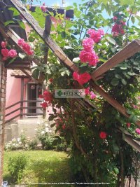 Nekretnina: KRALJEVO Cara Dusana ID: 7894