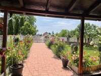 Nekretnina: Smederevo - Carina - 418m2+11.38a ID#24043