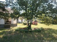Nekretnina: Na prodaju kuca i plac u Smederevskoj Palanci