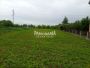 Plac Ledine od 6 ari ID#3219