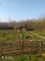 LAZAREVAC Gocka ID: 27331