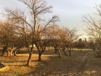 Nekretnina: Boleč, uknjižen plac
