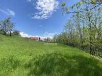 Nekretnina: Kuća P=240m2,plac 14ari-Supovac ID#2282