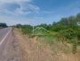 Smederevo - Industrijska zona - 81,35 ari ID#24347