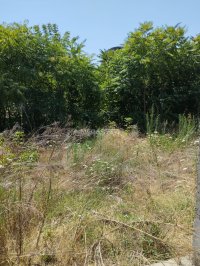 Nekretnina: Plac za stanogradnju, odlična lokacija