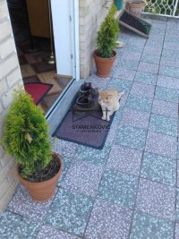 Nekretnina: Odlična vikendica na prelepom mestu - Velika Remeta ID#6960