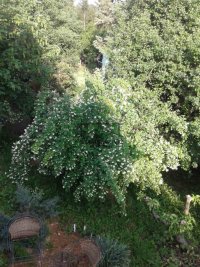 Nekretnina: Odlična vikendica na prelepom mestu - Velika Remeta ID#6960