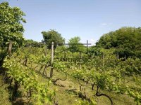 Nekretnina: Vikendica u Berkasovu ID#6981