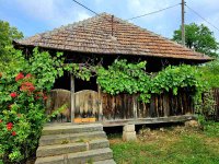 Nekretnina: Prodajem imanje 8.6ha sa kucom-Kosjeric