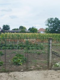 Nekretnina: Idealno za beg iz grada