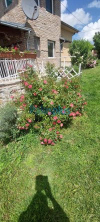 Nekretnina: Lipovica - Barajevo - Izuzetna