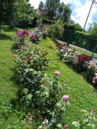 Nekretnina: KUĆICA NA RIBNJAKU ID#7019