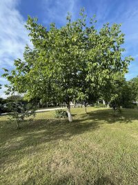 Nekretnina: Prodaje se kuća na Banstolu, nova , uknjižena . ID#6873