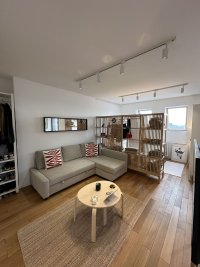 Nekretnina: Lux renoviran sa pogledom, Dorćol