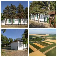 Nekretnina: Prodajem salas u Srbobranu