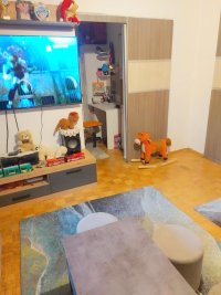 Nekretnina: ZVEZDARA 16.OKTOBRA ID: 2909