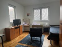 Nekretnina: Garsonjera za izdavanje Mirijevo ID#1115202