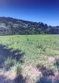 Nekretnina: Sopot, Parcani, prelep plac 113 ari, građevinsko zemljište.