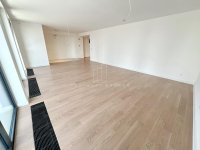 Nekretnina: BW Quartet 3, penthaus, prelep pogled na Savski park, odlična prilika ID#4219