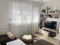 Nekretnina: Zemun, Centar, Vrtlarska, 1.5, lux, namešten ID#10285