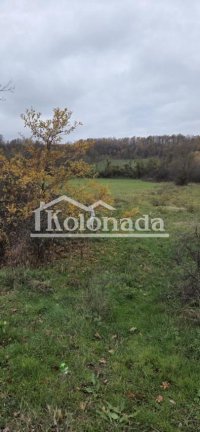 Nekretnina: Plac u Rogaci, Kosmaj, Sopot ID#12125