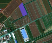 Nekretnina: Plac za gradnju, Dobanovci ID#4251