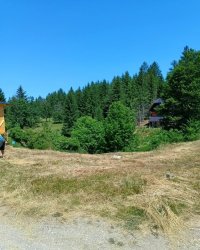 Nekretnina: Plac na Tari-Osluša